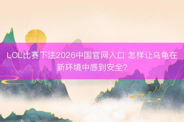 LOL比赛下注2026中国官网入口 怎样让乌龟在新环境中感到安全?