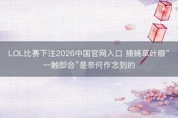 LOL比赛下注2026中国官网入口 捕蝇草叶瓣“一触即合”是奈何作念到的